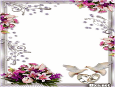 Wedding Frame, Memories, Couple, Ceremony, Elegant PNG