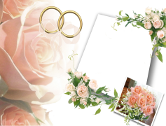 Wedding, Love, Bride, Ceremony, Reception PNG