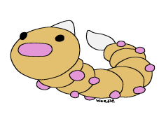 Weedle Pokemon, Poison Type, Metapod Evolution, Pokémon Species, Caterpillar Pokémon PNG