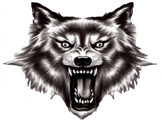 Werewolf PNG HD