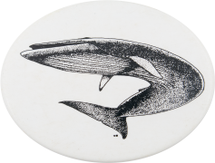 Whale, Giant, Sea, Creature, Nature PNG