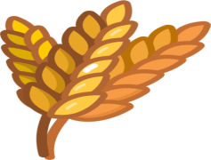 Wheat, Bread, Nutrition, Harvest, Flour PNG