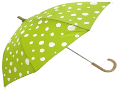 White Dotted Green Umbrella PNG