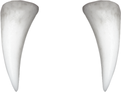 White Tooth, Dental Health, Healthy Smile, Tooth Whitening, Brightening Solutions PNG