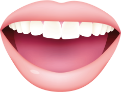 White Tooth, Oral Hygiene, Whiteness, Toothbrush, Toothpaste PNG