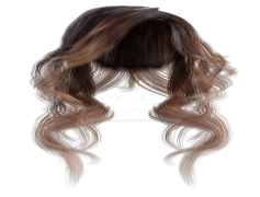 Wig, Accessory, Style, Look, Hairpiece PNG